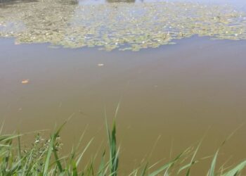 На Червоноградщині у селі Варяж втопився чоловік – Новини Львова та області