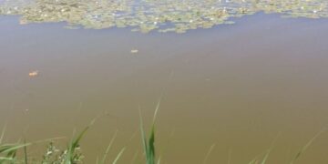 На Червоноградщині у селі Варяж втопився чоловік – Новини Львова та області