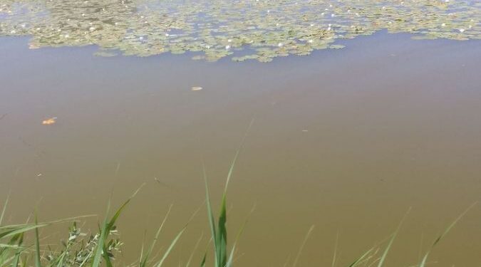 На Червоноградщині у селі Варяж втопився чоловік – Новини Львова та області