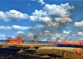 Не провокувати виникнення пожеж в природних екосистемах! —
