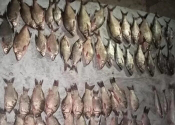 Незаконный улов: в Одесской области задержали браконьера