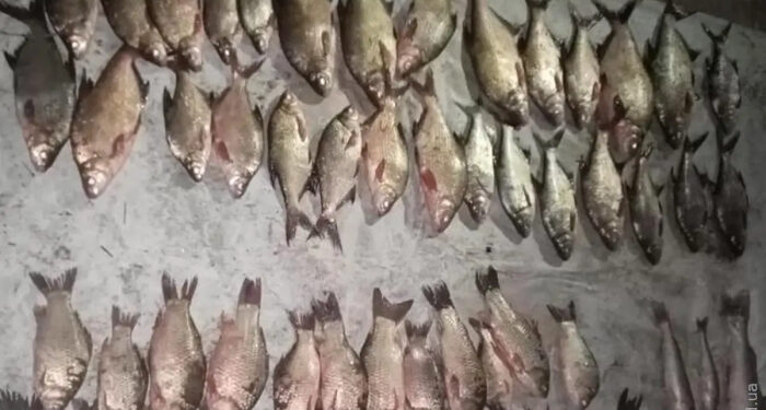 Незаконный улов: в Одесской области задержали браконьера