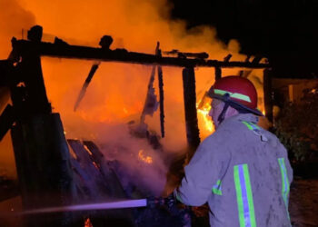 Около 5 тонн урожая уничтожено пожаром в Одесской области