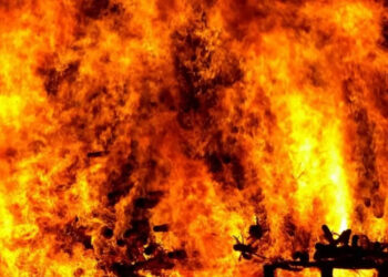 Пожар в Приморском районе: горел пивной магазин