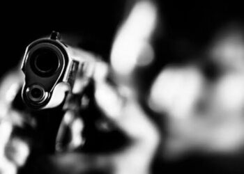 Разбойное нападение на переселенцев в Измаиле