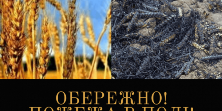 Шановні хлібороби! Запобігайте пожежам на жнивах! Бережіть хліб від вогню!