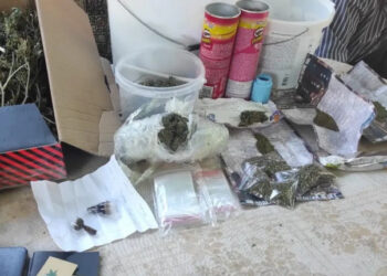 Солидный запас «травки» обнаружили у 46-летнего одессита в сарае