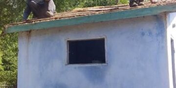 В Главанському старостинському окрузі облагороджують паркову зону