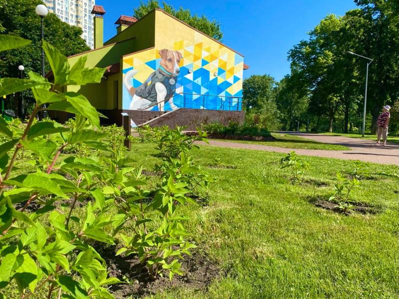 В Киеве появился мурал с известным сапером Патроном