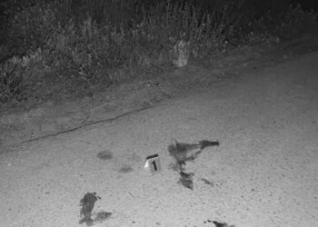 В Одессе задержан мужчина, устроивший поножовщину на пикнике