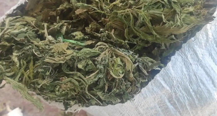 В Одесской области задержан россиянин, устроивший наркобизнес