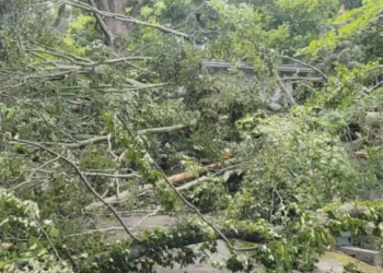 Во многих областях Украины объявлено штормовое предупреждение
