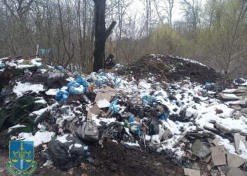 У Трускавці судитимуть директорку підприємства за утворення стихійного сміттєзвалища | Кримінальні новини