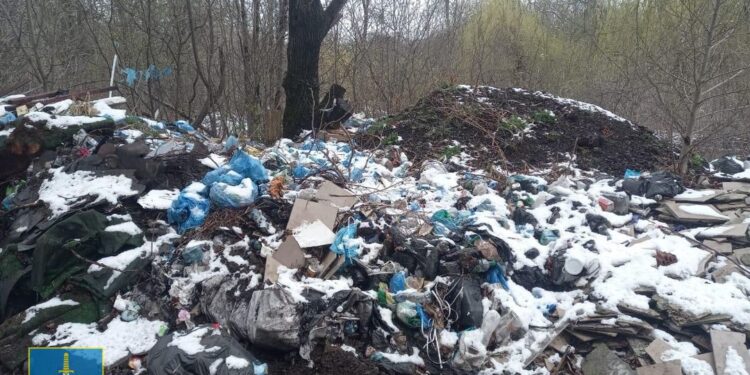 У Трускавці судитимуть директорку підприємства за утворення стихійного сміттєзвалища | Кримінальні новини