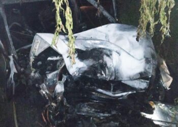 На Волині легковик спалахнув після тарану з деревом, водій не вижив. ФОТО | Кримінальні новини