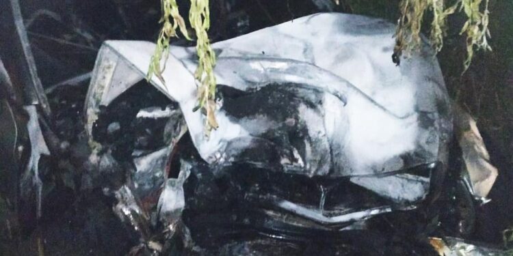 На Волині легковик спалахнув після тарану з деревом, водій не вижив. ФОТО | Кримінальні новини