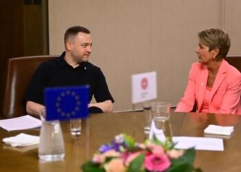 Обіг зброї в Україні контролюється спільно з Європолом — МВС