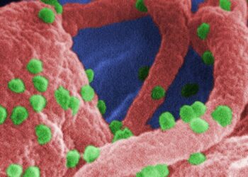 Первая женщина «вылечилась» от ВИЧ благодаря стволовым клеткам — ученые