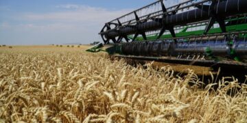 Аграріями Одещини обмолочено 40% засіяних площ — Новини Одеської області