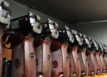 Монастирський пояснив, які питання має врегулювати закон про зброю