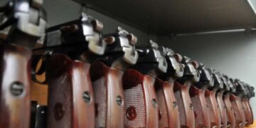 Монастирський пояснив, які питання має врегулювати закон про зброю