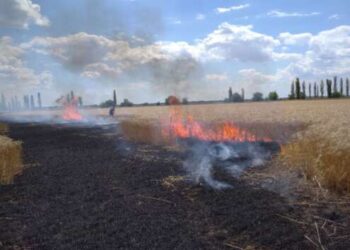 Горит урожай: в Николаевской области обстрелами уничтожено 230 га пшеницы