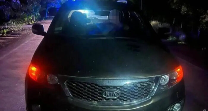 ДТП в Одесской области: водитель сбил пешехода