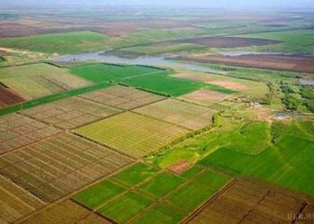 Земельна реформа виключена зі списку вимог МВФ, але її все одно будуть робити