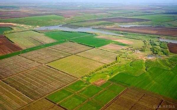 Земельна реформа виключена зі списку вимог МВФ, але її все одно будуть робити