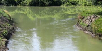 На Одещині штучно наповнюють водою обмілілі озера — Новини Одеської області
