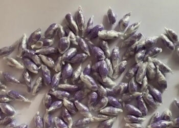 Одесситку задержали с крупной партией наркотиков