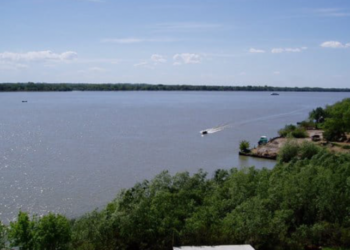 Освобождение острова Змеиный открыло проход судов для вывоза агропродукции