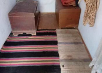 СОЦІАЛЬНІ СЛУЖБИ ЗДІЙСНИЛИ ПЕРЕВІРКУ ДО СІМЕЙ ЗАДУНАЇВКИ