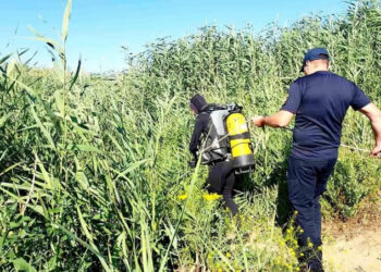 Трагедия на воде: в Одесской области нашли утонувшего юношу