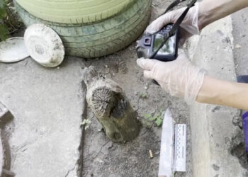 В Черноморске женщина обвиняется в убийстве мужа