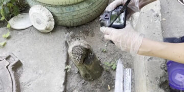 В Черноморске женщина обвиняется в убийстве мужа