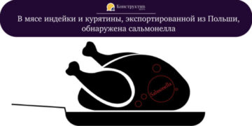 В мясе индейки и курятины, экспортированной из Польши, обнаружена сальмонелла — Суспільство Одеси