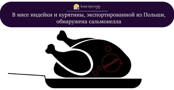 В мясе индейки и курятины, экспортированной из Польши, обнаружена сальмонелла — Суспільство Одеси