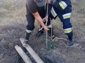 В Одеській області рятували витягли козу з глибокого колодязя | Надзвичайні події Одесса та область