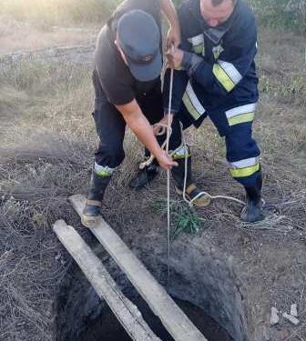 В Одеській області рятували витягли козу з глибокого колодязя | Надзвичайні події Одесса та область
