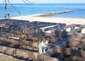 В Одессе могут открыть для отдыха некоторые пляжи | Одеський Монітор