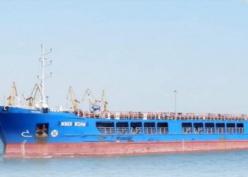 В Турции арестовали российское судно с украденным украинским зерном