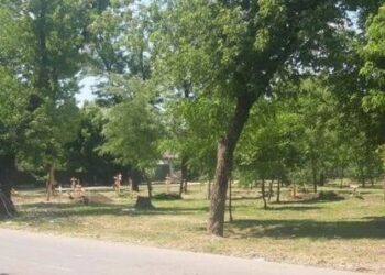 Угроза холеры: в Мариуполе рашисты делают перезахоронение погибших в братской могиле в Мангуше