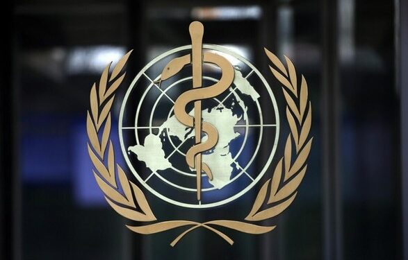 Обезьянья оспа составляет умеренный риск для здоровья населения — ВОЗ