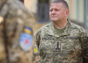 Залужний пропонує Міноборони дозволити студентам виїзд за кордон