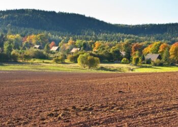Уряд прийняв законопроєкт про ринок землі