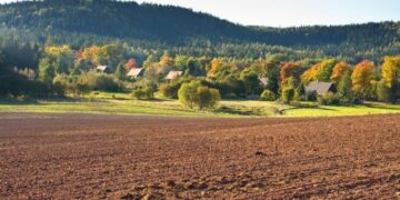 Уряд прийняв законопроєкт про ринок землі