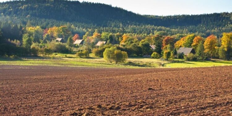 Уряд прийняв законопроєкт про ринок землі