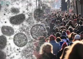 CDC повысил уровень опасности обезьяньей оспы и рекомендует носить маски во время путешествий