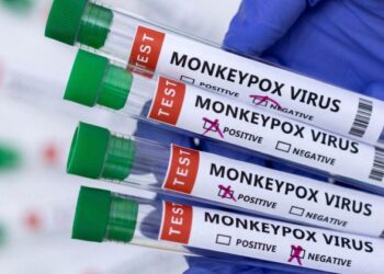 ВОЗ заявила о 550 подтвержденных случаях заражения оспой обезьян